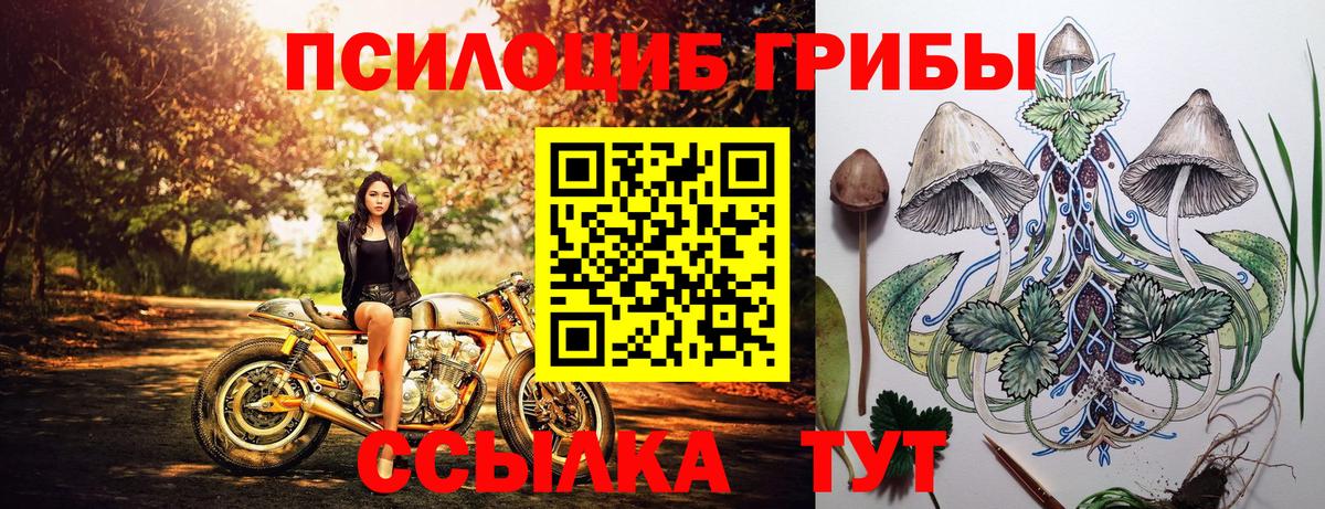 Псилоцибиновые грибы GOLDEN TEACHER  Вход с VPN  Топки 