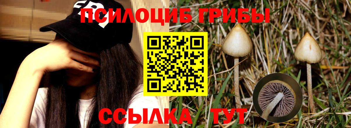 Галлюциногенные грибы Magic Shrooms Топки